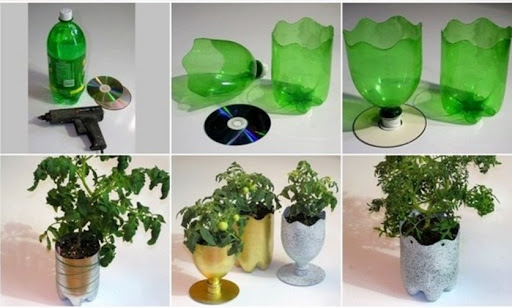 Tận dụng chai nhựa tái chế thành những chiếc ly trồng rau bắt mắt, ấn tượng