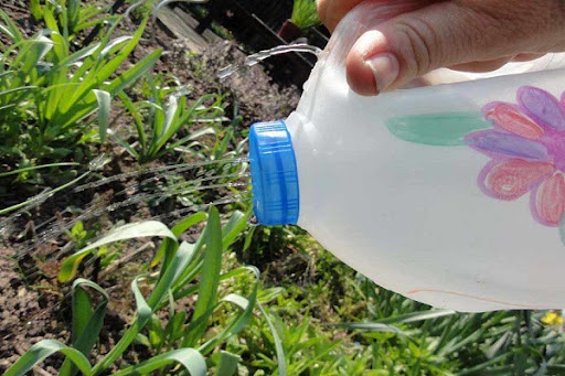 5 phút thủ công tái chế chai nhựa thành trợ thủ tưới cây đắc lực bất ngờ trong vườn