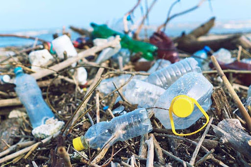 Rác thải nhựa có ảnh hưởng đến đời sống con người